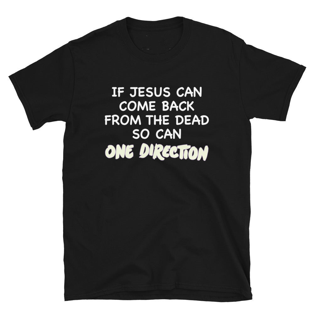 Als Jezus uit de dood kan opstaan, kan One Direction Tee dat ook